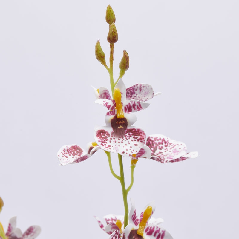 edg enzo de gasperi edg enzo de gasperi orchidea oncidium ramo x4 artificiale h 80 cm white violet ean 8059824352538