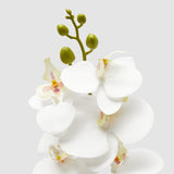 edg enzo de gasperi edg enzo de gasperi orchidea phalaenopsis ramo artificiale h 94 cm white ean 8059824383617