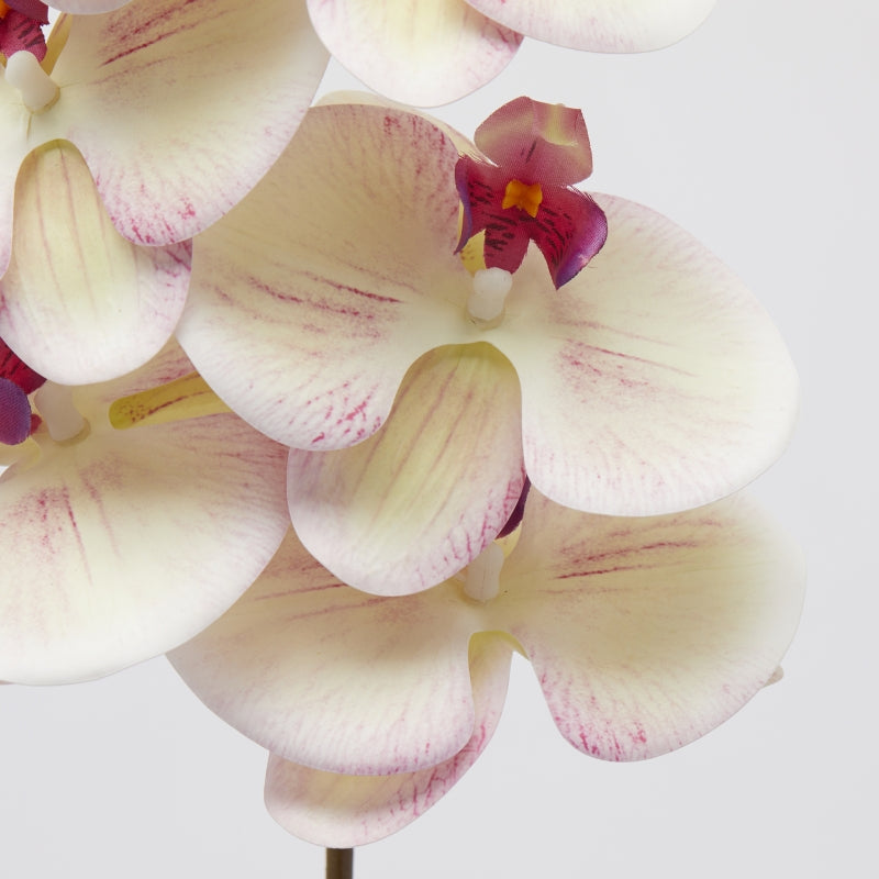 edg enzo de gasperi edg enzo de gasperi orchidea phalaenopsis ramo artificiale h 94 cm white violet ean 8059824380777