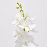 edg enzo de gasperi edg enzo de gasperi orchidea vanda ramo artificiale h 70 cm white ean 8059824380913