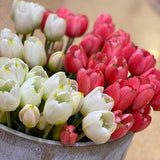 edg enzo de gasperi edg enzo de gasperi bouquet 5 tulipani con foglie artificiali h 48 cm white ean 8059824439932