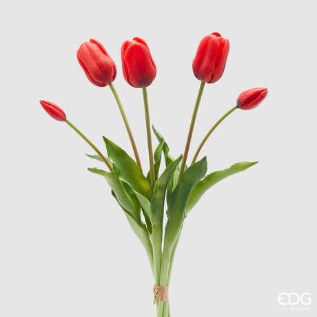 edg enzo de gasperi bouquet 5 tulipani con foglie h 48 cm red ean 8059824441096