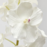 edg enzo de gasperi edg enzo de gasperi orchidea vanda ramo x9 artificiale h 95 cm white ean 8059824453556