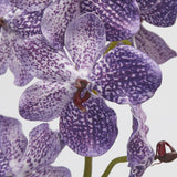 edg enzo de gasperi ramo orchidea vanda artificiale h 70 cm ass violet mix 1 pz ean 8059824475510