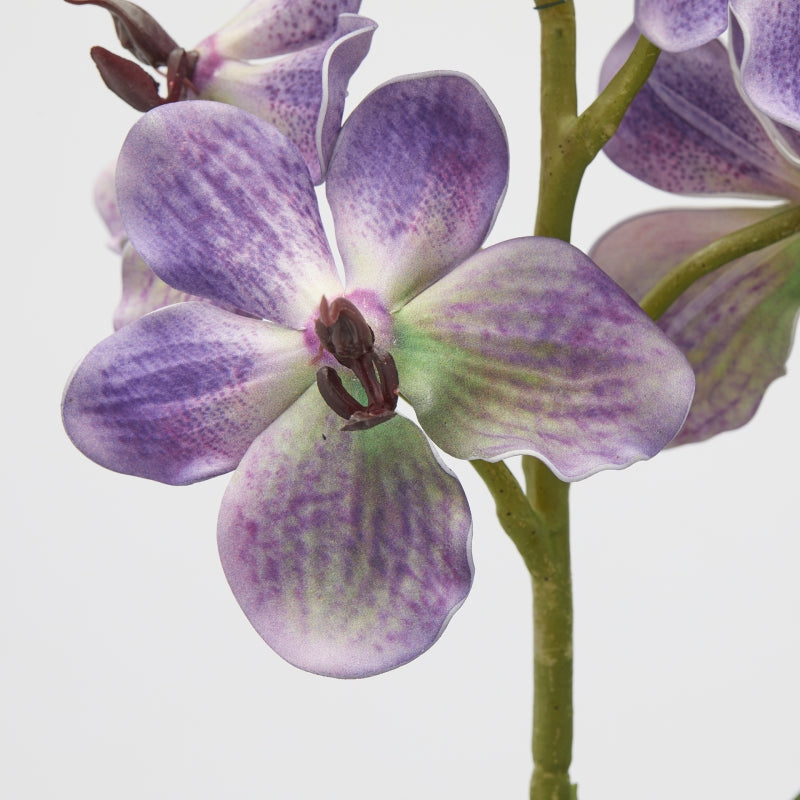 edg enzo de gasperi cespuglio orchidea vanda artificiale con foglio h 70 cm ass violet 1 pz ean 8059824475596