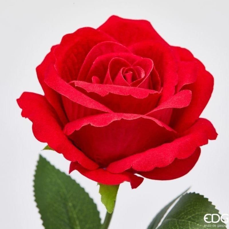 EDG Enzo De Gasperi Rosa Velvet su Ramo con Foglie H50 cm Rossa – Fiore Decorativo