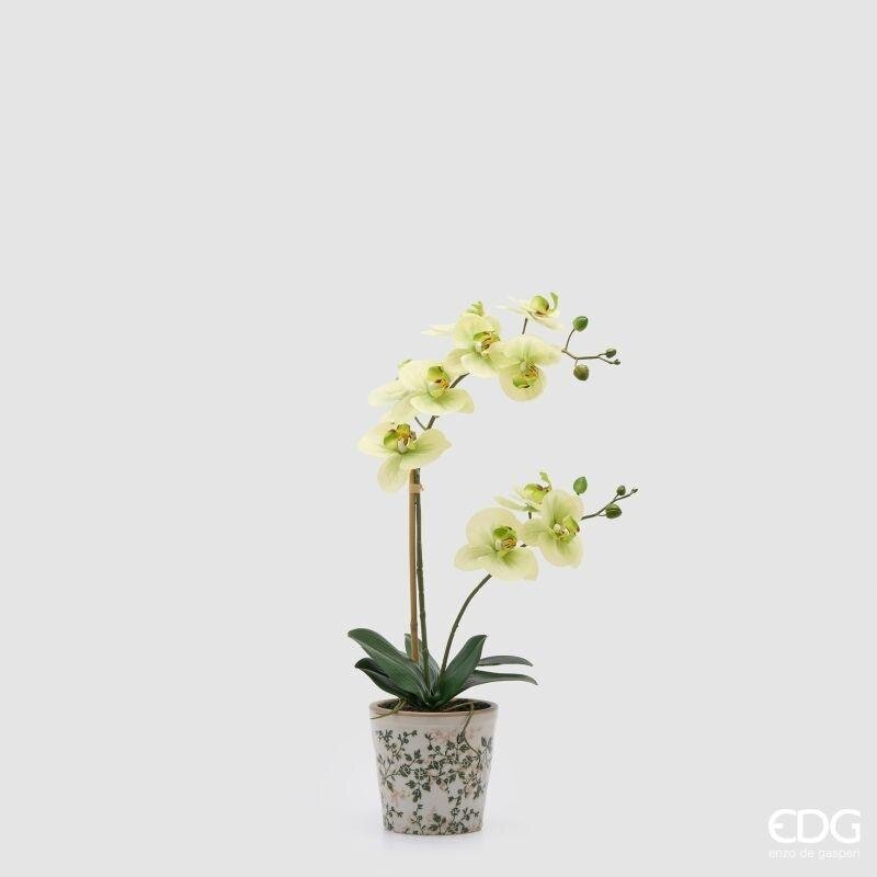 EDG Enzo De Gasperi Orchidea Phalaenopsis x2 con Bocciolo e Vaso Pianta Artificiale H 60 Cm Giallo Verde