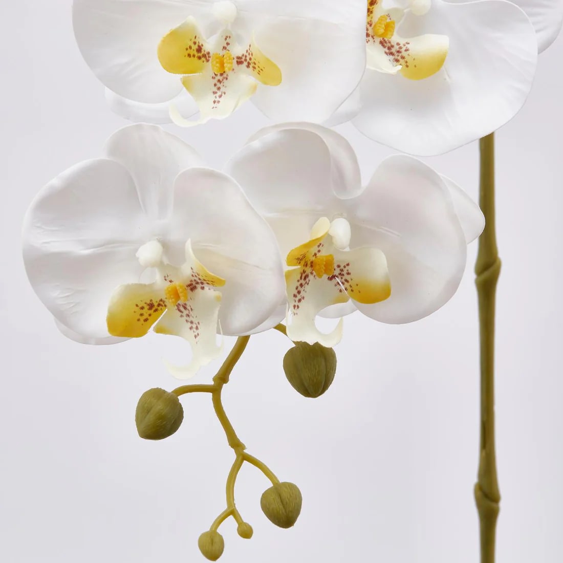 edg enzo de gasperi edg enzo de gasperi orchidea phalaenopsis real ramo artificiale h 76 cm white ean 8054184754152