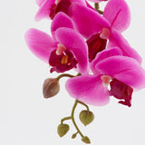 edg enzo de gasperi edg enzo de gasperi orchidea phalaenopsis real ramo artificiale ass h 76 cm fuchsia 1 pz ean 8054184754169