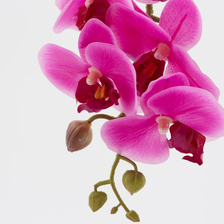 edg enzo de gasperi edg enzo de gasperi orchidea phalaenopsis real ramo artificiale ass h 76 cm fuchsia 1 pz ean 8054184754169