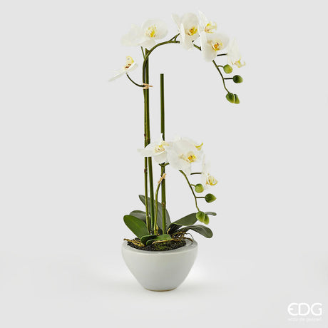 edg enzo de gasperi edg enzo de gasperi orchidea phalaenopsis real x2 con vaso artificiale h 50 cm white ean 8054184927297