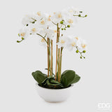 edg enzo de gasperi edg enzo de gasperi orchidea phalaenopsis pianta x6 con vaso artificiale h 64 cm white ean 8056372424854