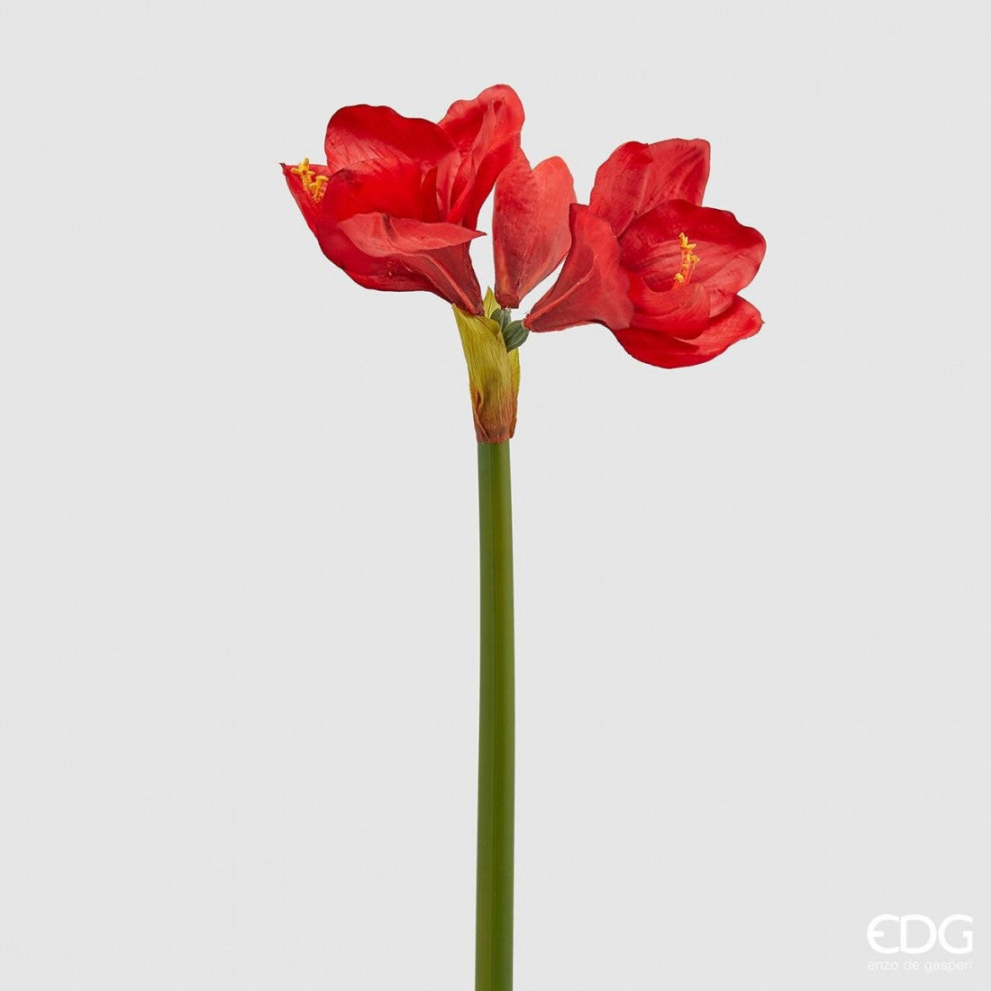 edg enzo de gasperi ramo amaryllis real artificiale 3 fiori h 66 cm red ean 8056372697869