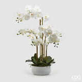 edg enzo de gasperi edg enzo de gasperi orchidea phalaenopsis real x7 con vaso artificiale h 84 cm white ean 8056372881701