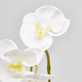 edg enzo de gasperi edg enzo de gasperi orchidea phalaenopsis olis ramo 3d x7 artificiale h 85 cm white ean 8056372972706