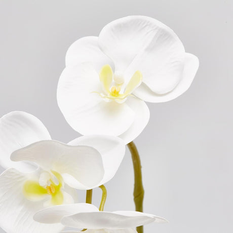 edg enzo de gasperi edg enzo de gasperi orchidea phalaenopsis olis ramo 3d x7 artificiale h 85 cm white ean 8056372972706