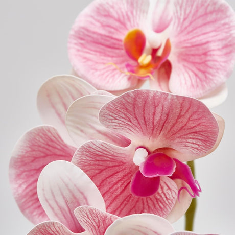 edg enzo de gasperi edg enzo de gasperi orchidea phalaenopsis olis ramo 3d x7 artificiale h 85 cm white pink ean 8056372972720