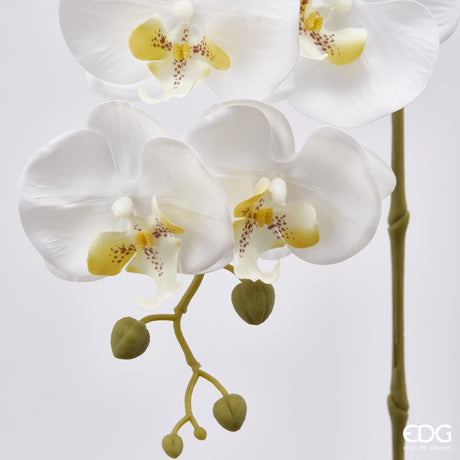 edg enzo de gasperi edg enzo de gasperi orchidea phalaenopsis olis ramo 3d x5 artificiale h 70 cm white ean 8056372972768