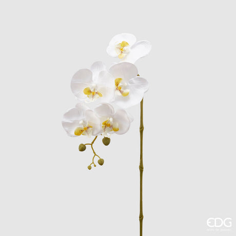 edg enzo de gasperi edg enzo de gasperi orchidea phalaenopsis olis ramo 3d x5 artificiale h 70 cm white ean 8056372972768