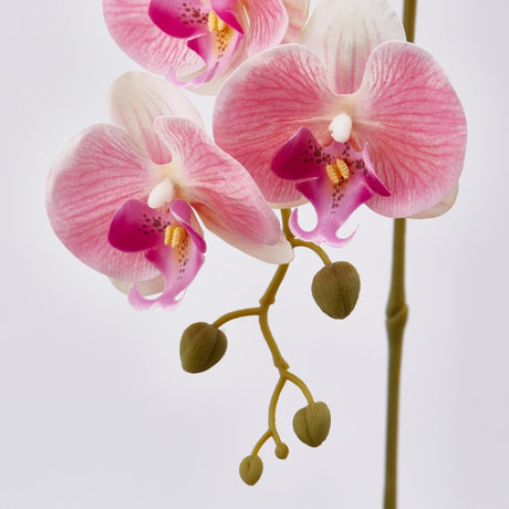 edg enzo de gasperi edg enzo de gasperi orchidea phalaenopsis olis ramo 3d x5 artificiale h 70 cm white pink ean 8056372972782