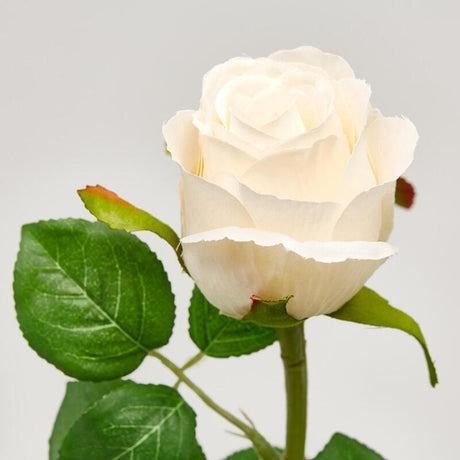 EDG Enzo De Gasperi Rosa Bocciolo Olis 3 Fg Ramo Ass. H 51 Cm Pianta Artificiale Avorio 1 Pz