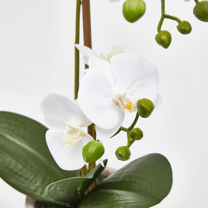 edg enzo de gasperi edg enzo de gasperi orchidea phalaenopsis pianta x2 artificiale con vaso h 42 cm white ean 8059824911070