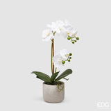 edg enzo de gasperi edg enzo de gasperi orchidea phalaenopsis pianta x2 artificiale con vaso h 42 cm white ean 8059824911070