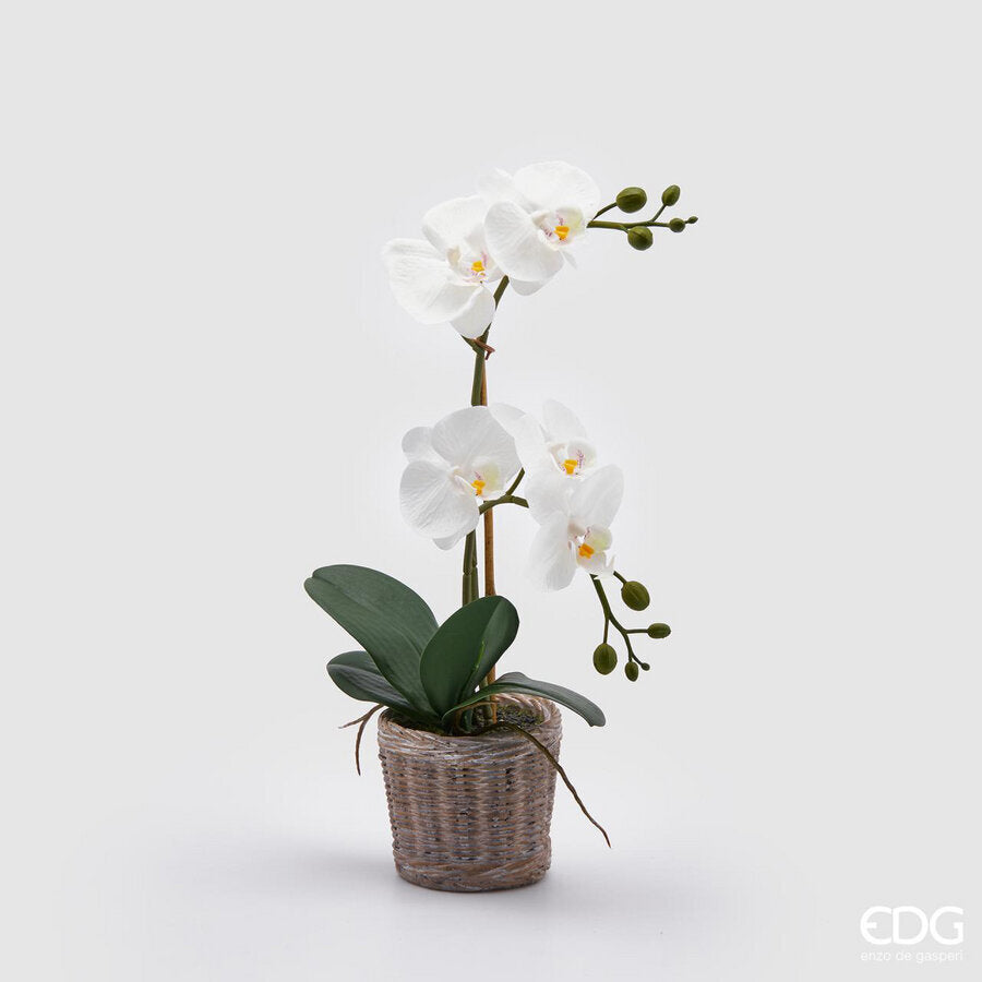 edg enzo de gasperi edg enzo de gasperi orchidea phalaenopsis pianta x2 artificiale con cesto h 40 cm white ean 8059824123701