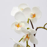 edg enzo de gasperi edg enzo de gasperi orchidea phalaenopsis olis ramo x2 artificiale h 62 cm white ean 8059824233974