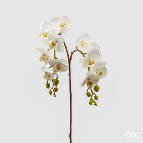 edg enzo de gasperi edg enzo de gasperi orchidea phalaenopsis olis ramo x2 artificiale h 62 cm white ean 8059824233974