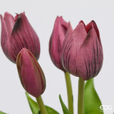 edg enzo de gasperi edg enzo de gasperi bouquet di 5 tulipani olis ass h 26 cm lilac 1 pz ean 8059824245229