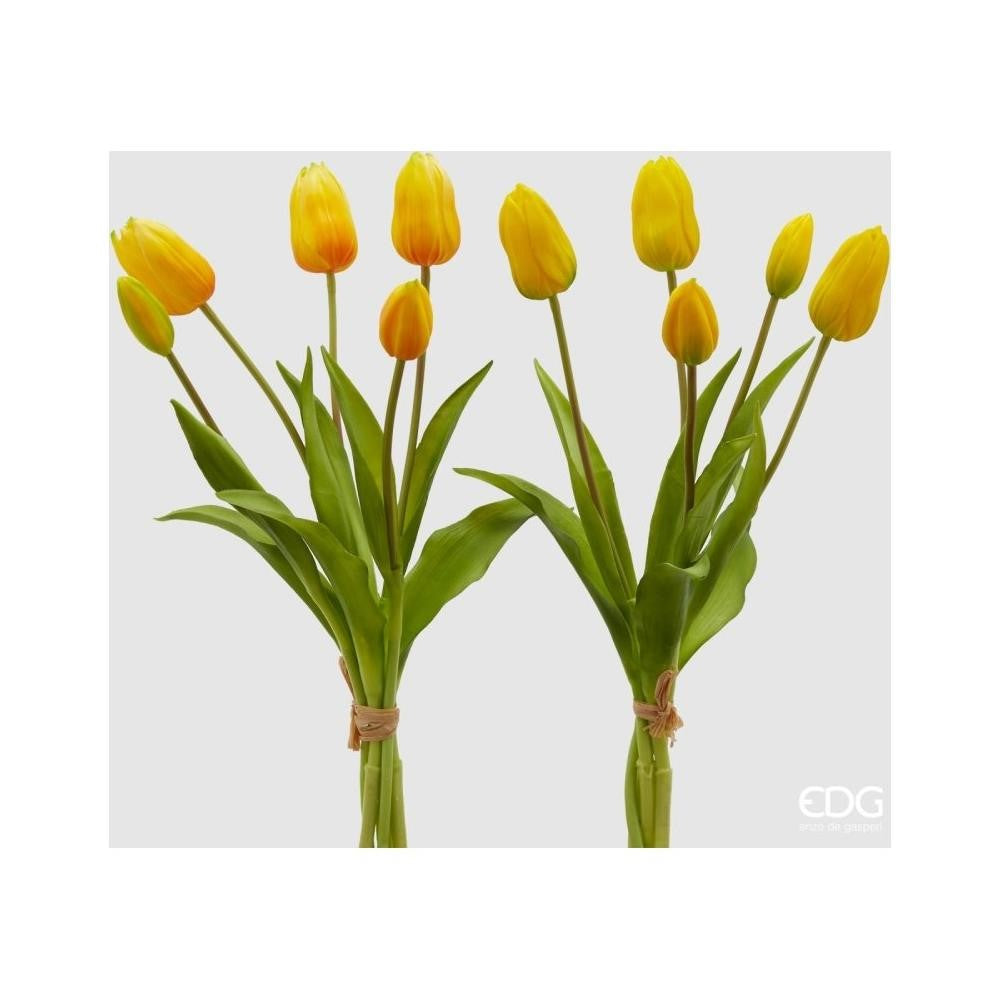 Tulipano Olis 1 Mazzo da 5 Pezzi H40  Yellow