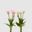 edg enzo de gasperi edg enzo de gasperi bouquet 5 tulipani parrot olis ass h 40 cm white pink 1 pz ean 8059824237309