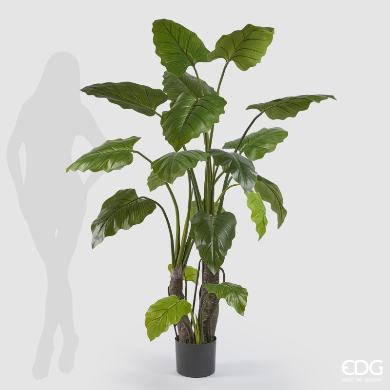 edg enzo de gasperi edg enzo de gasperi alocasia con vaso artificiale h 180 cm green ean 8059824321411