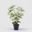 edg enzo de gasperi edg enzo de gasperi caladium variegato con vaso artificiale h 47 cm green ean 8059824355249