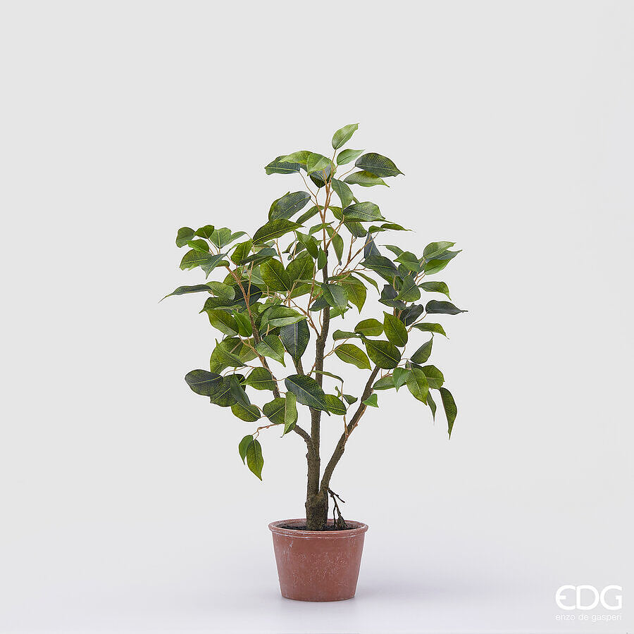 edg enzo de gasperi edg enzo de gasperi ficus con vaso artificiale h 60 cm green ean 8059824355263