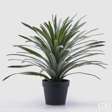 edg enzo de gasperi edg enzo de gasperi bromelia con vaso artificiale h 58 cm green ean 8059824358707