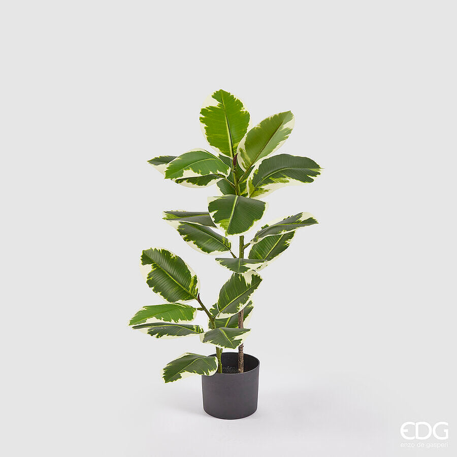 edg enzo de gasperi edg enzo de gasperi ficus elastica con vaso artificiale h 95 cm green mix ean 8059824358745