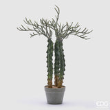 edg enzo de gasperi edg enzo de gasperi cactus cereus succ con vaso artificiale h 80 cm green ean 8059824368058