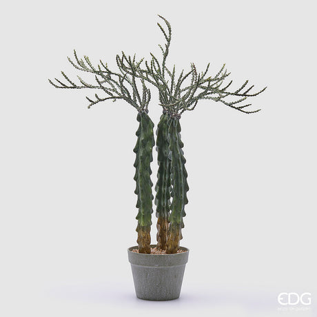 edg enzo de gasperi edg enzo de gasperi cactus cereus succ con vaso artificiale h 80 cm green ean 8059824368058