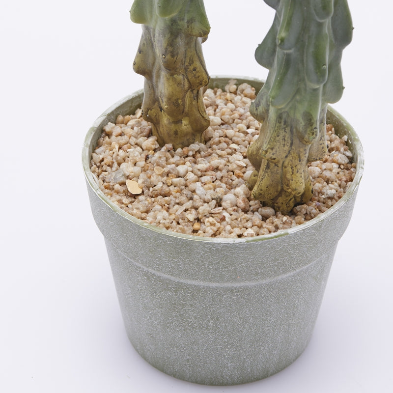 edg enzo de gasperi edg enzo de gasperi cactus cereus succ con vaso artificiale h 75 cm green ean 8059824368072