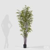 EDG Enzo De Gasperi Bamboo con Vaso H 210 cm Colore Verde Scuro e Chiaro