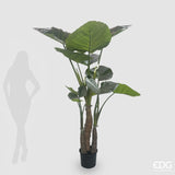 edg enzo de gasperi edg enzo de gasperi alocasia con vaso artificiale h 210 cm green ean 8059824423764