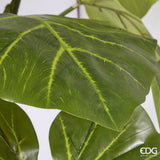 edg enzo de gasperi edg enzo de gasperi alocasia con vaso artificiale h 210 cm green ean 8059824423764