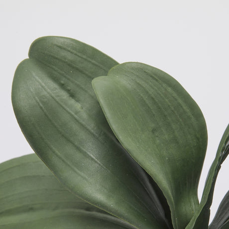 edg enzo de gasperi edg enzo de gasperi orchidea phalaenopsis foglia x5 artificiale h 27 cm green ean 8059824441072