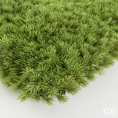 EDG Enzo De Gasperi Siepe Muschio Artificiale Anti UV 100x100 cm Impermeabile – Decorazione Verde