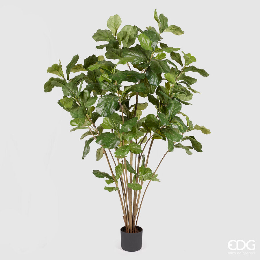 edg enzo de gasperi edg enzo de gasperi ficus lyrata con vaso artificiale h 180 cm green ean 8054184813613