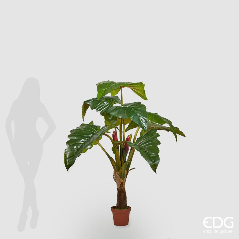 edg enzo de gasperi edg enzo de gasperi alocasia chic con vaso artificiale h 160 cm green ean 8056372078866