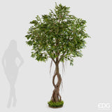 edg enzo de gasperi edg enzo de gasperi ficus beniamino con zolla artificiale h 245 cm green ean 8056372967931