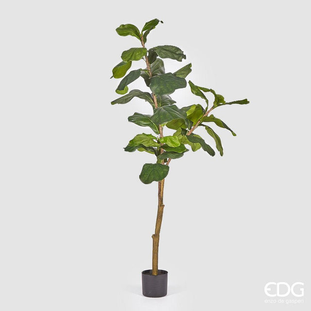 edg enzo de gasperi edg enzo de gasperi ficus lyrata con vaso artificiale h 152 cm green ean 8056372972157